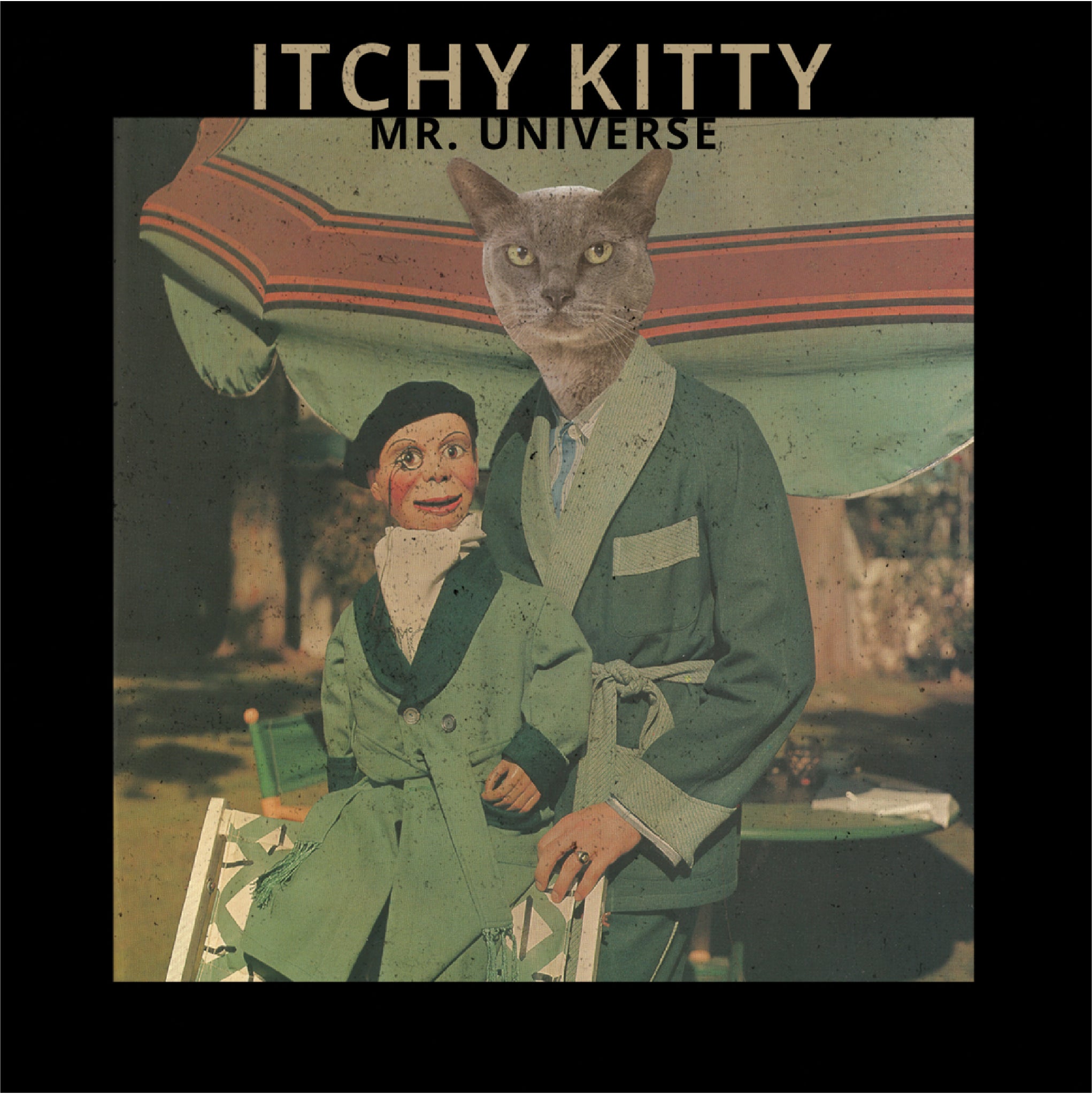 Itchy Kitty - Mr. Universe